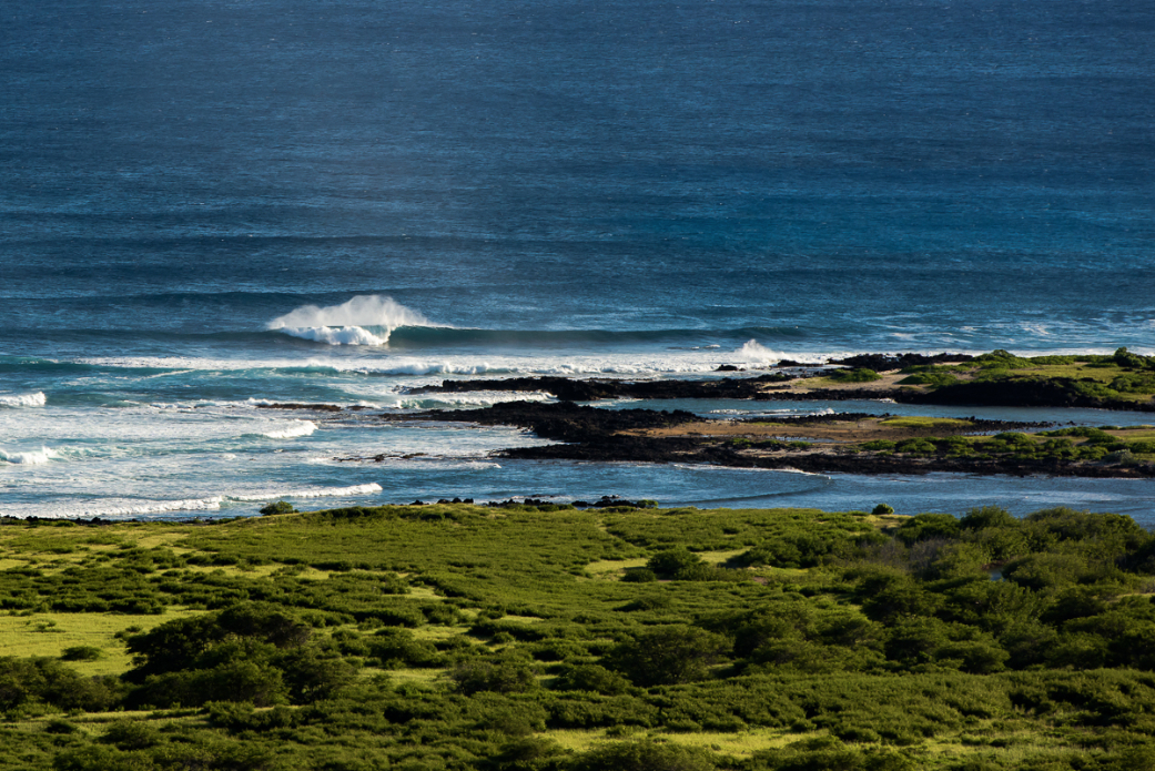 Photo: <a href=\"https://www.shanegracephoto.com\">Shane Grace</a>