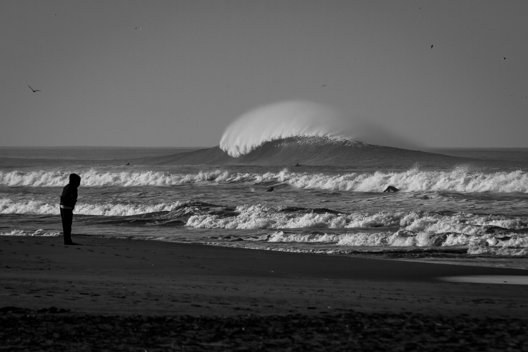 Photo: <a href=\"https://www.shanegracephoto.com\">Shane Grace</a>