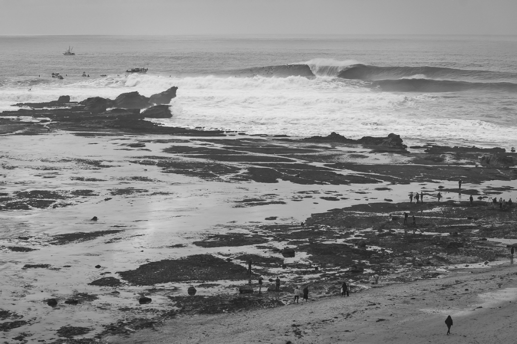 Photo: <a href=\"https://www.shanegracephoto.com\">Shane Grace</a>