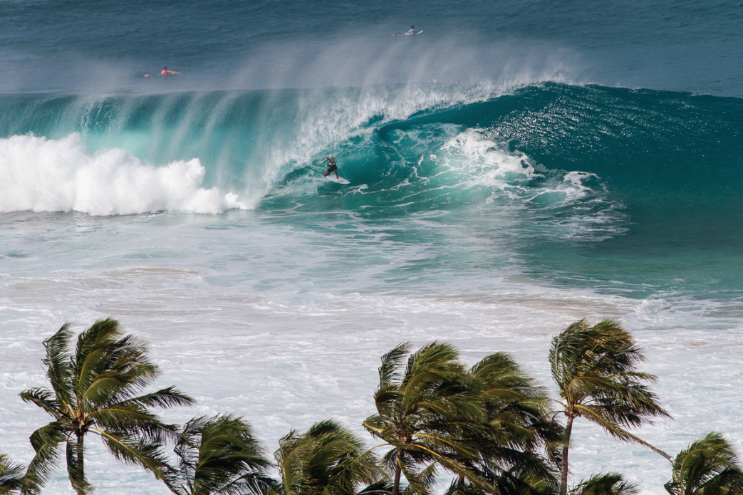 Photo: <a href=\"https://www.shanegracephoto.com\">Shane Grace</a>