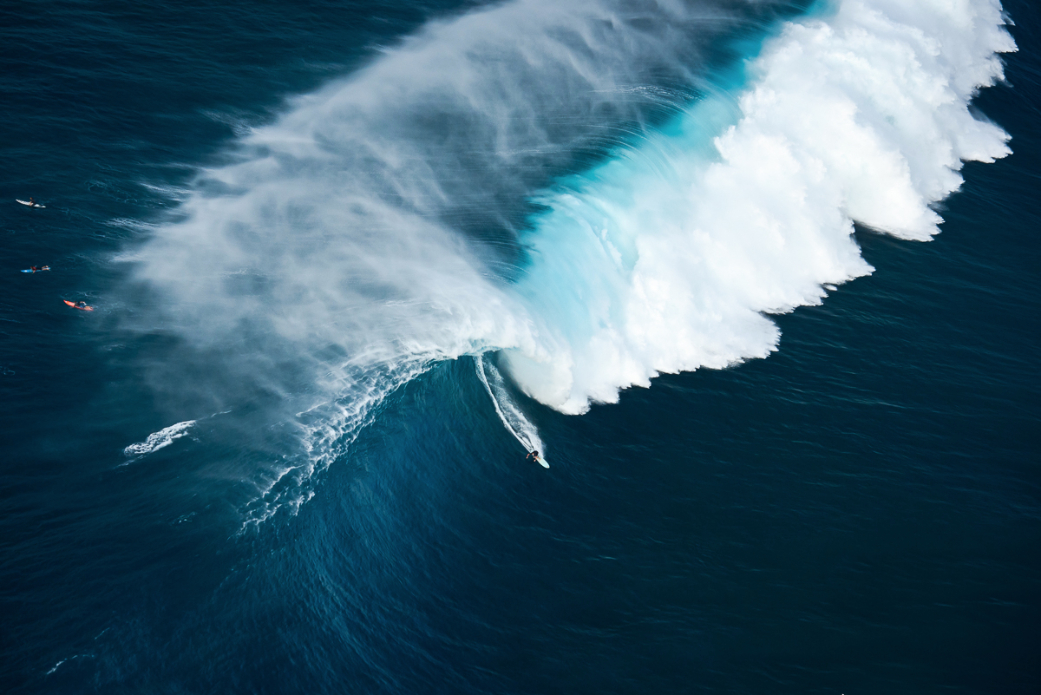 Photo: <a href=\"https://www.shanegracephoto.com\">Shane Grace</a>