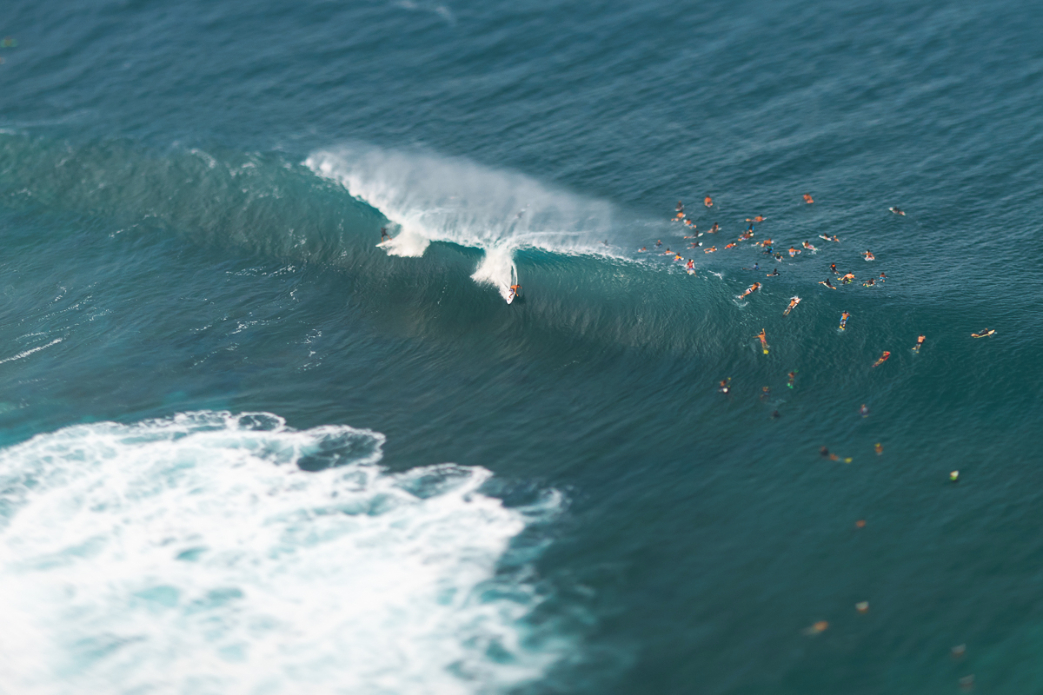 Photo: <a href=\"https://www.shanegracephoto.com\">Shane Grace</a>