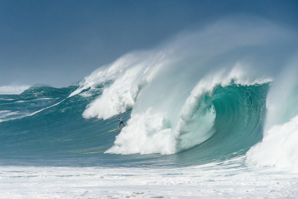 Photo: <a href=\"https://www.shanegracephoto.com\">Shane Grace</a>