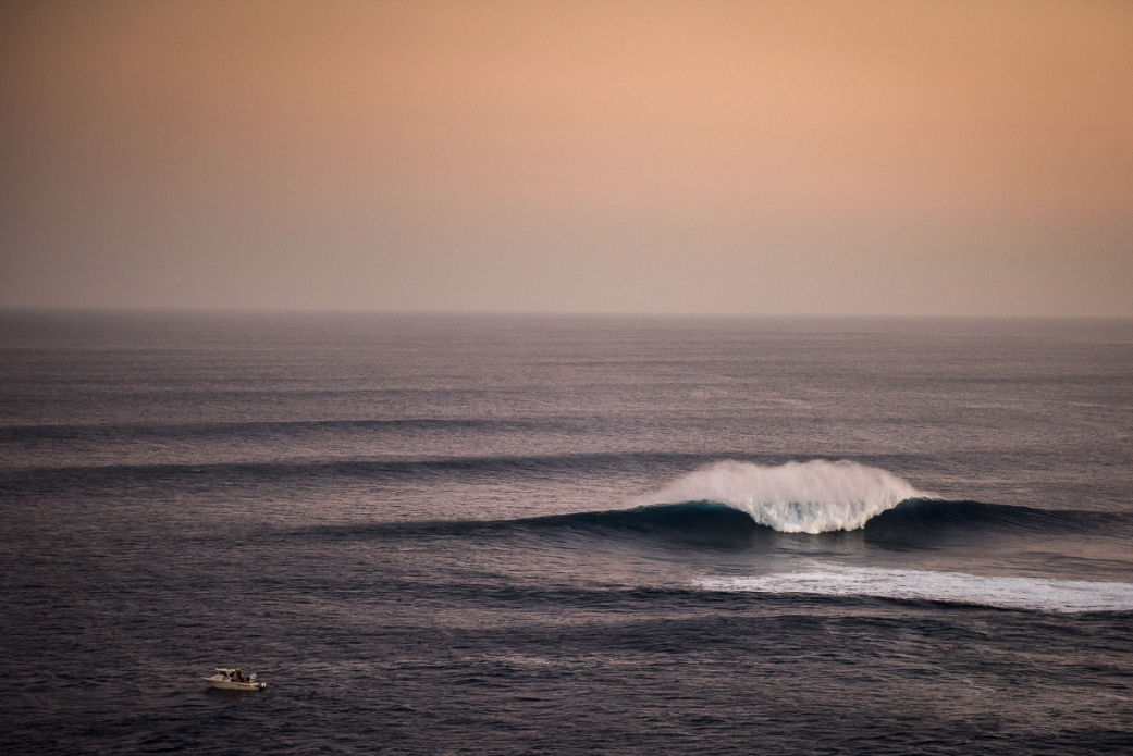 Photo: <a href=\"https://www.shanegracephoto.com\">Shane Grace</a>