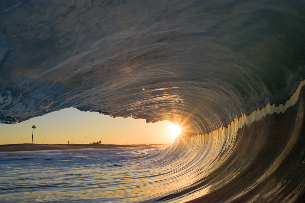 Photo: <a href=\"https://www.shanegracephoto.com\">Shane Grace</a>