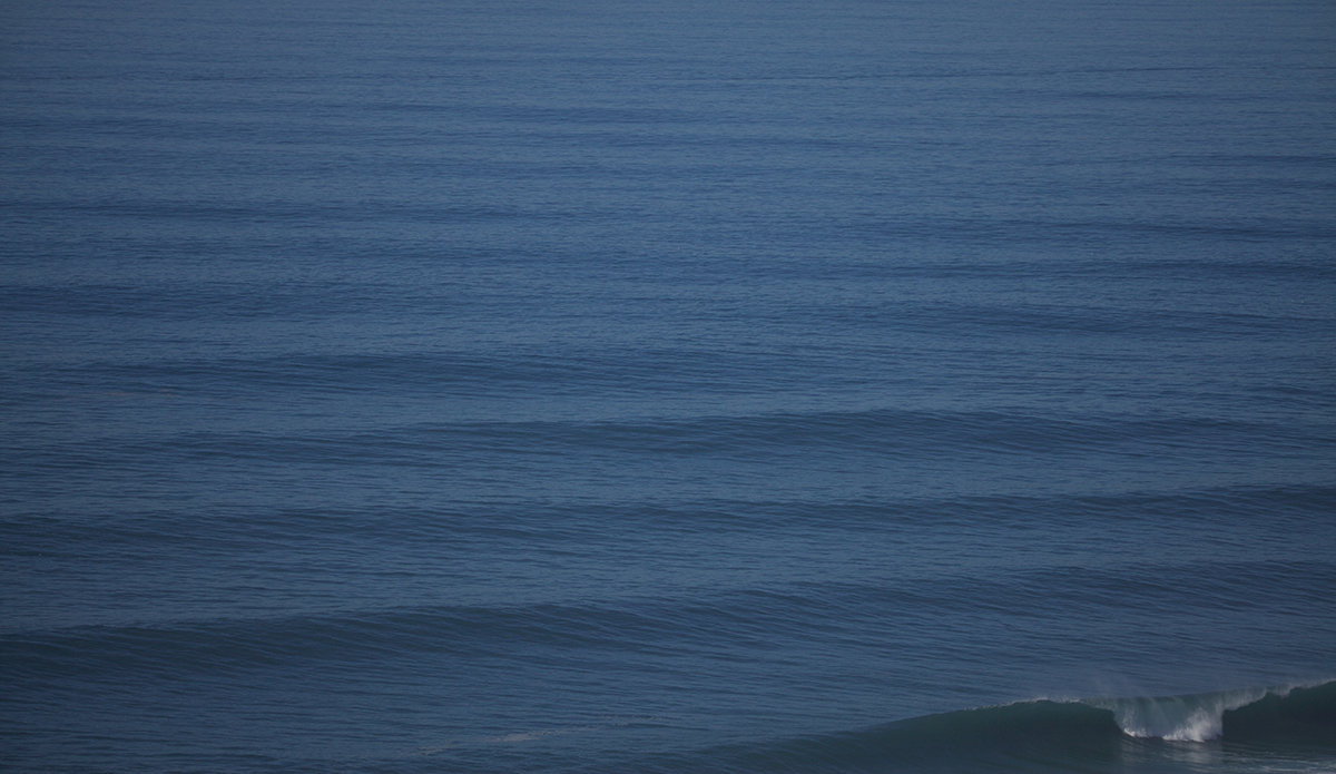 Lines on lines... Photo: @shannonreporting