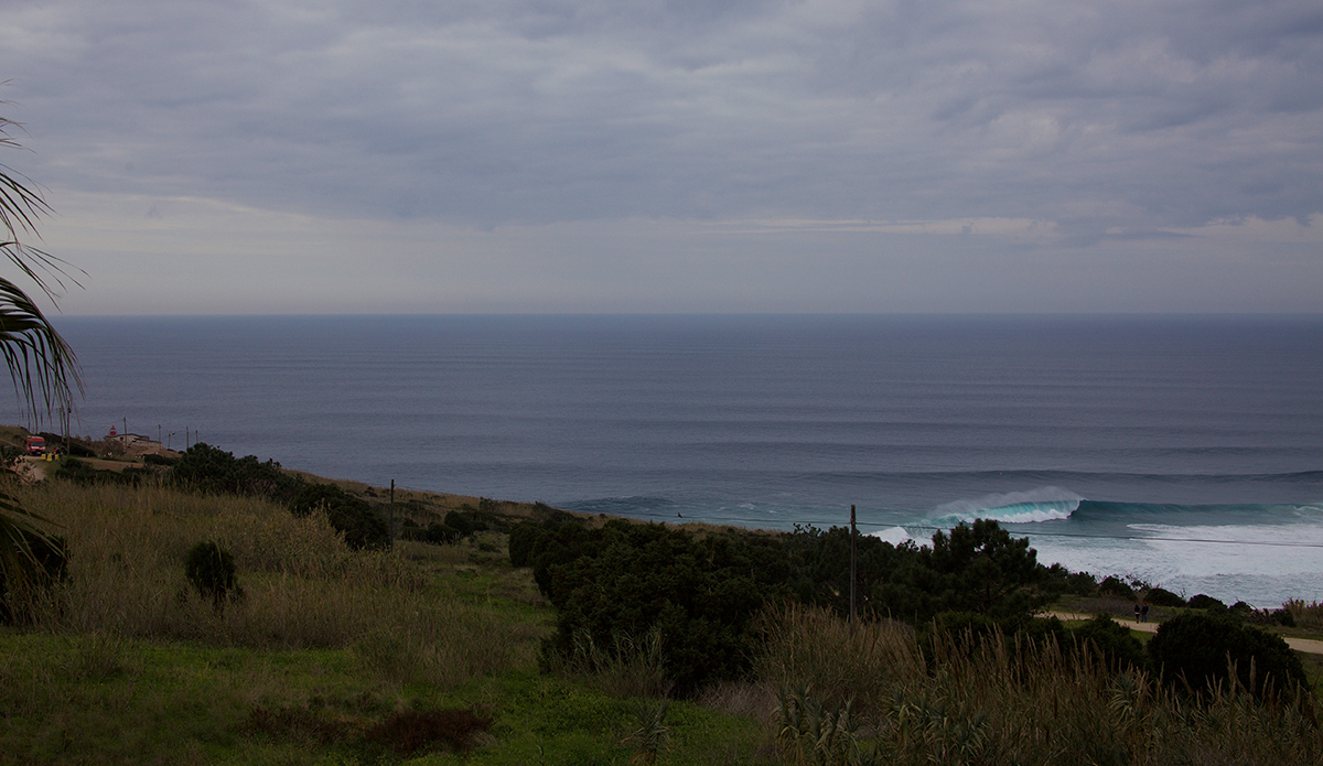 Photo: @shannonreporting