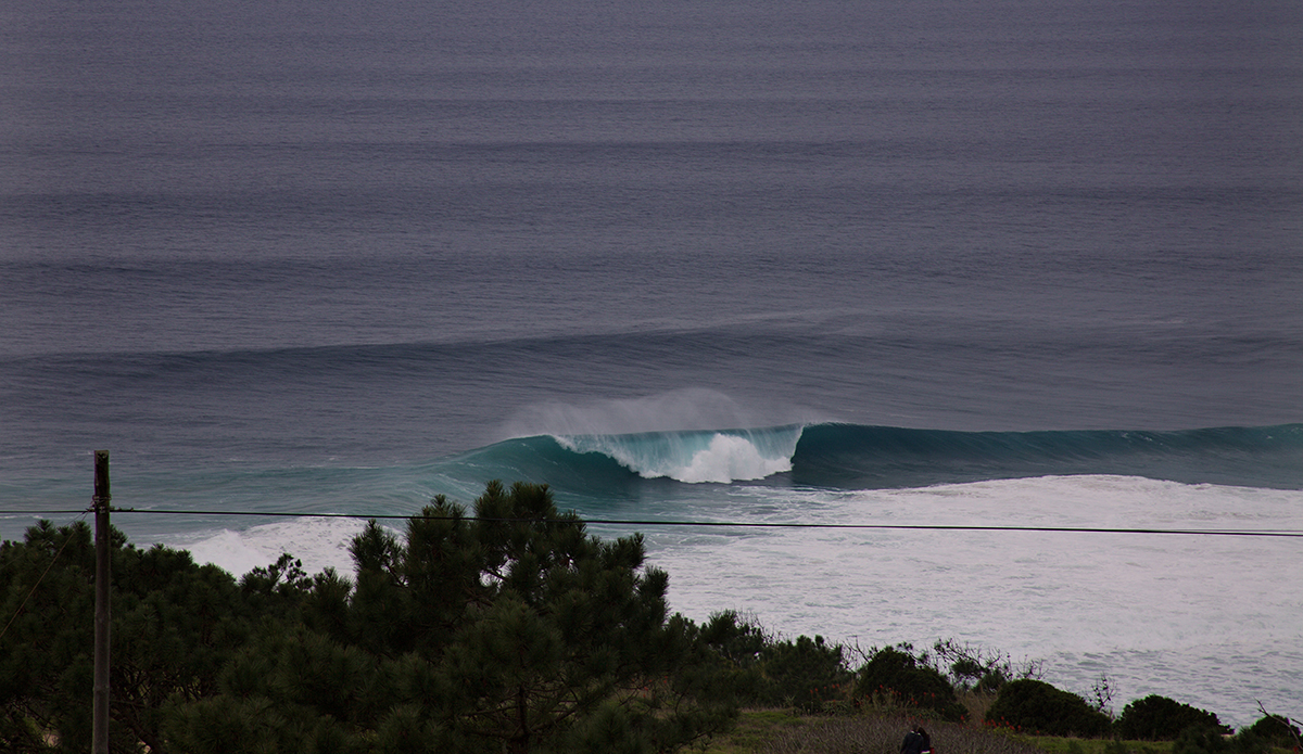 Photo: @shannonreporting