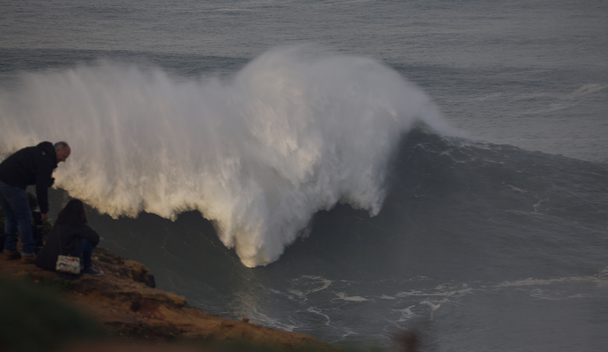 She\'s mean... Photo: @shannonreporting