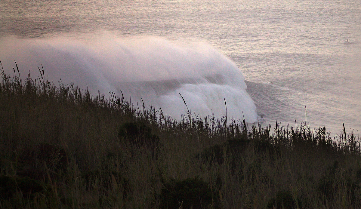 Photo: @shannonreporting