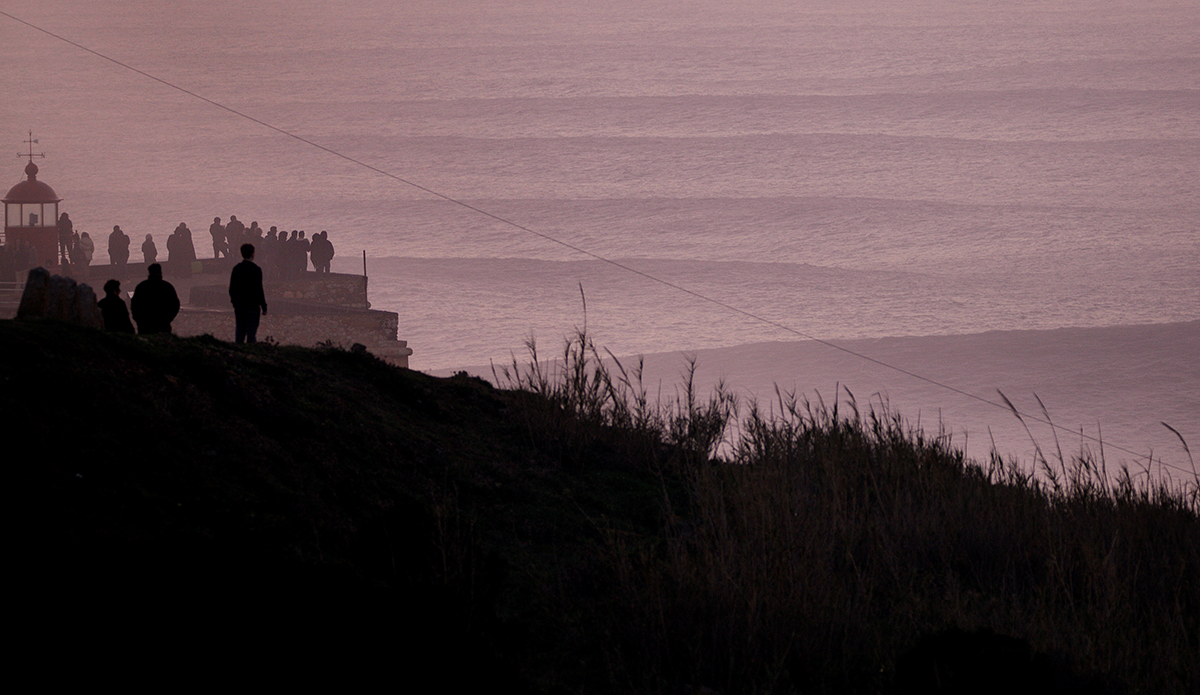 Photo: @shannonreporting