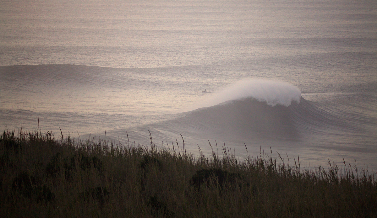 Photo: @shannonreporting