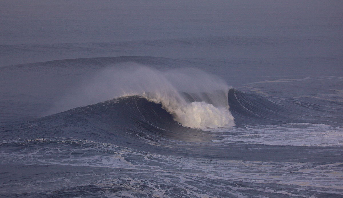 Photo: @shannonreporting