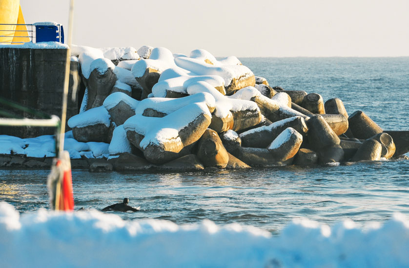Derek Sung drove three hours in the snow and ice in the middle of the night from Seoul to be here bright and early to paddle out for a few. Photo: <a href=\"https://www.shannonaston.com/\" target=_blank>Shannon Aston</a>.