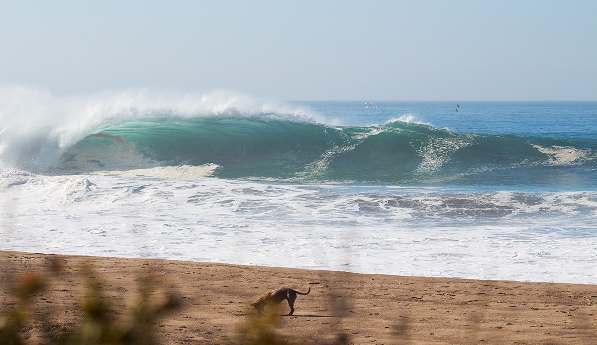 Pipeline in California.