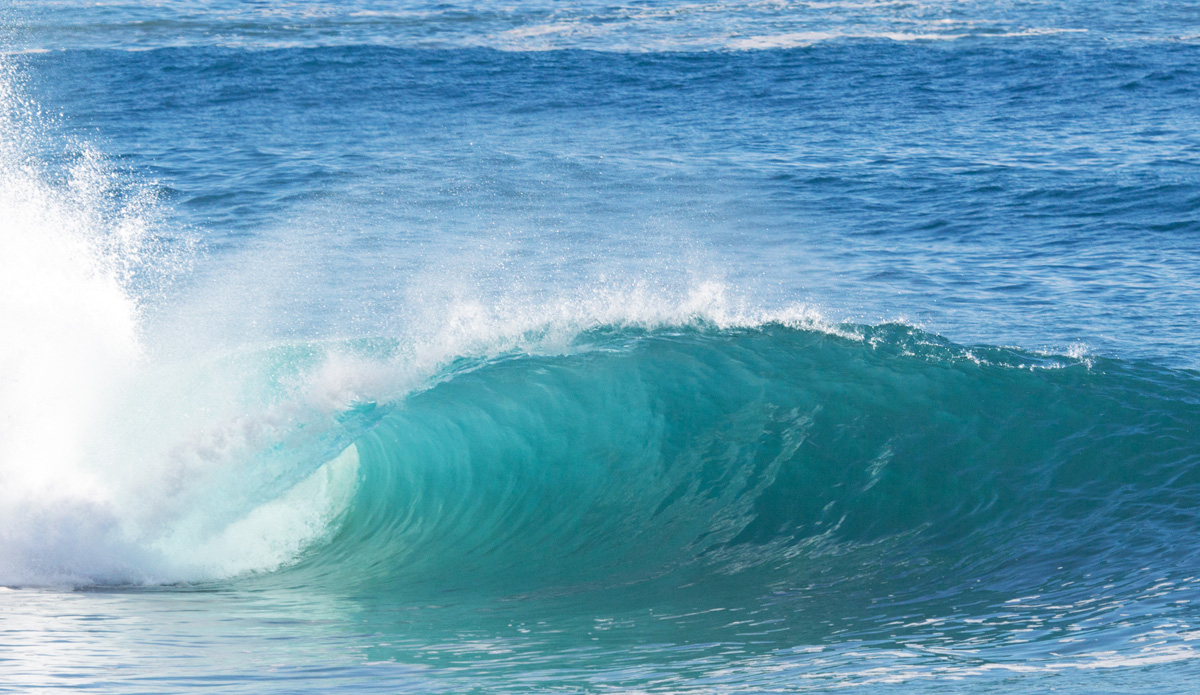 The water this summer was unbelievable.