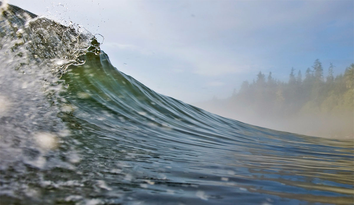 Foggy peeler. Photo: <a href=\"https://beachbreakphotography.ca/\">Shayne Stadnick</a>