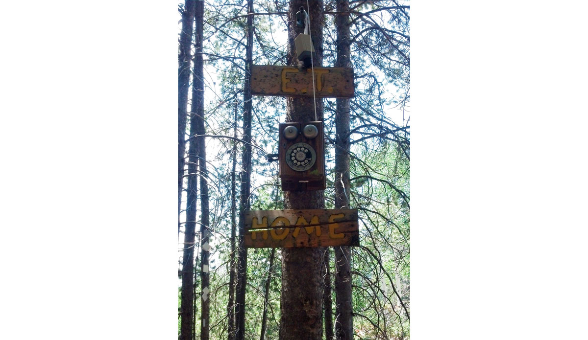 Fairy Forest. Photo: Courtesy of Ski Utah