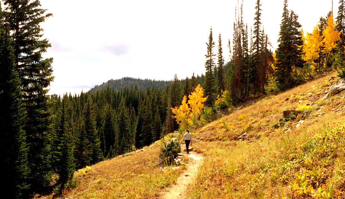 Photo: Courtesy of Ski Utah