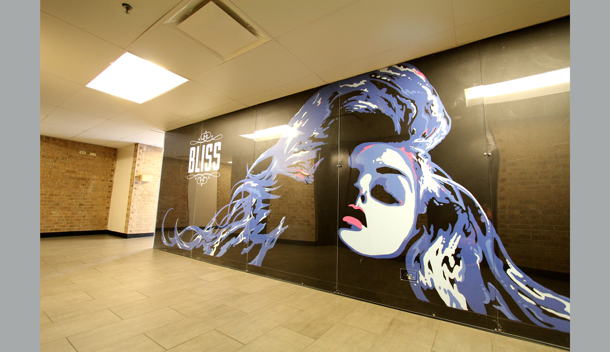 Bliss, Austin, TX, Latex Paint, 50\' x 25\' Photo: <a href=\"https://www.skyewalkerart.com/\">Skye Walker</a>