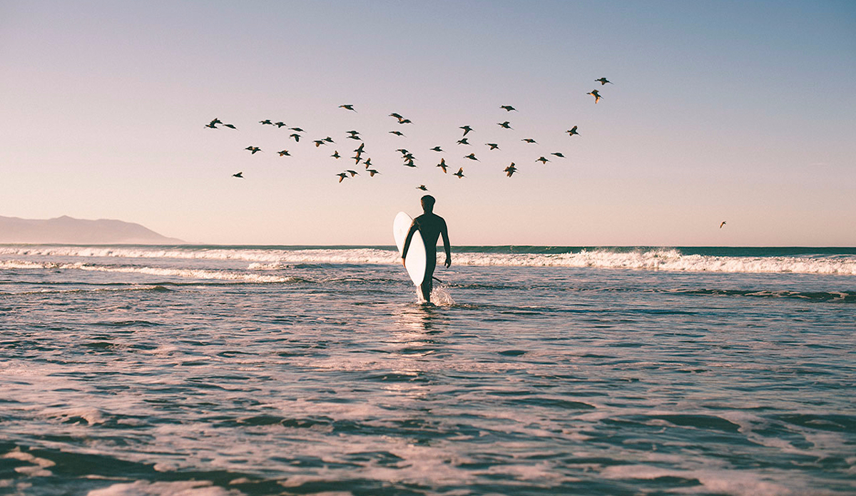 Photo: <a href=\"https://www.dylangordon.com/\">Dylan Gordon</a>