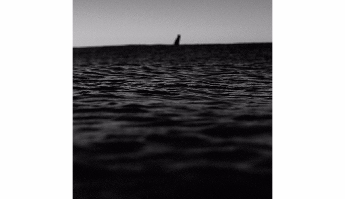 Photo: <a href=\"https://www.dylangordon.com/\">Dylan Gordon</a>