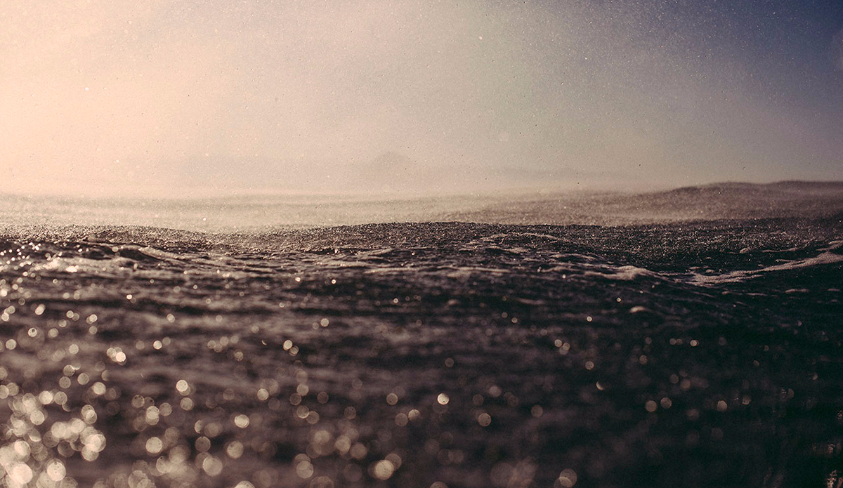 Photo: <a href=\"https://www.dylangordon.com/\">Dylan Gordon</a>