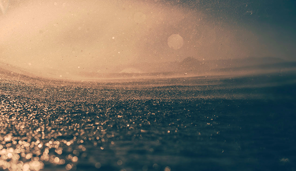 Photo: <a href=\"https://www.dylangordon.com/\">Dylan Gordon</a>