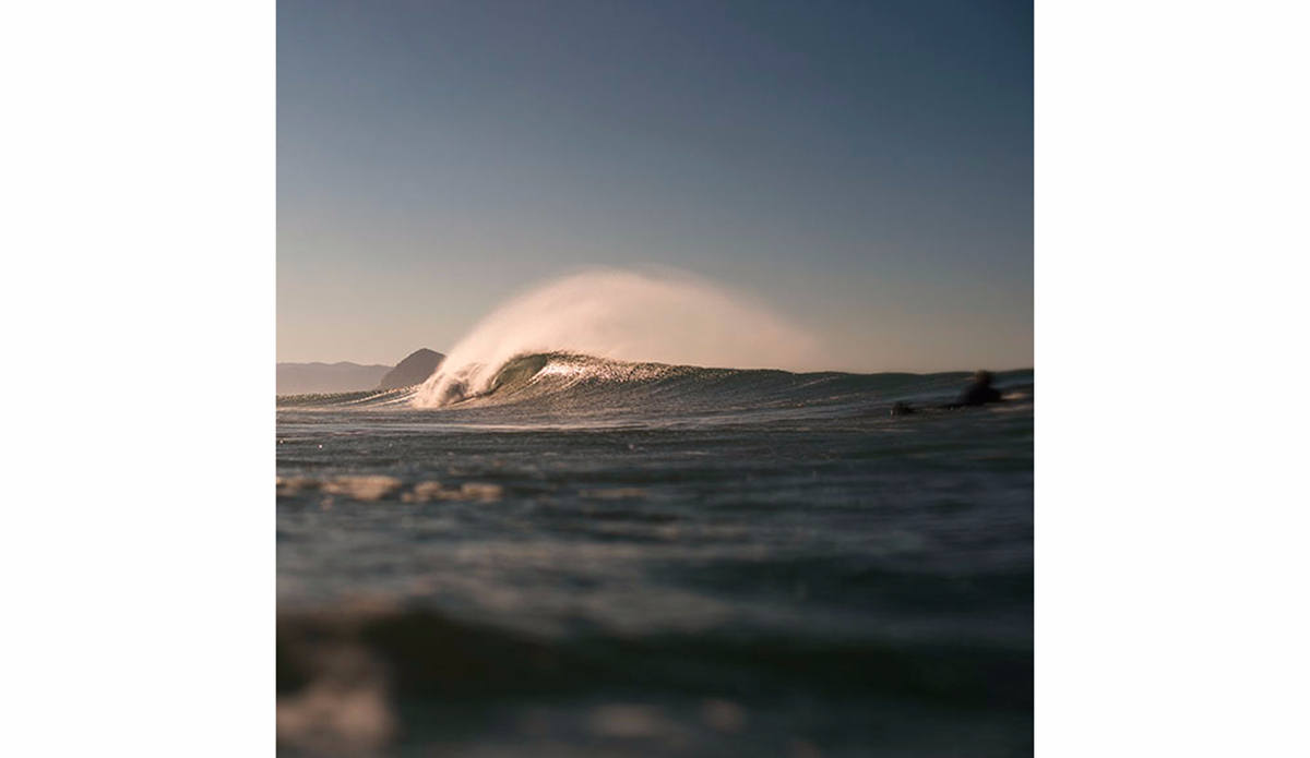 Photo: <a href=\"https://www.dylangordon.com/\">Dylan Gordon</a>