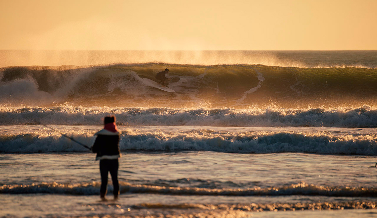 Photo: <a href=\"https://www.dylangordon.com/\">Dylan Gordon</a>