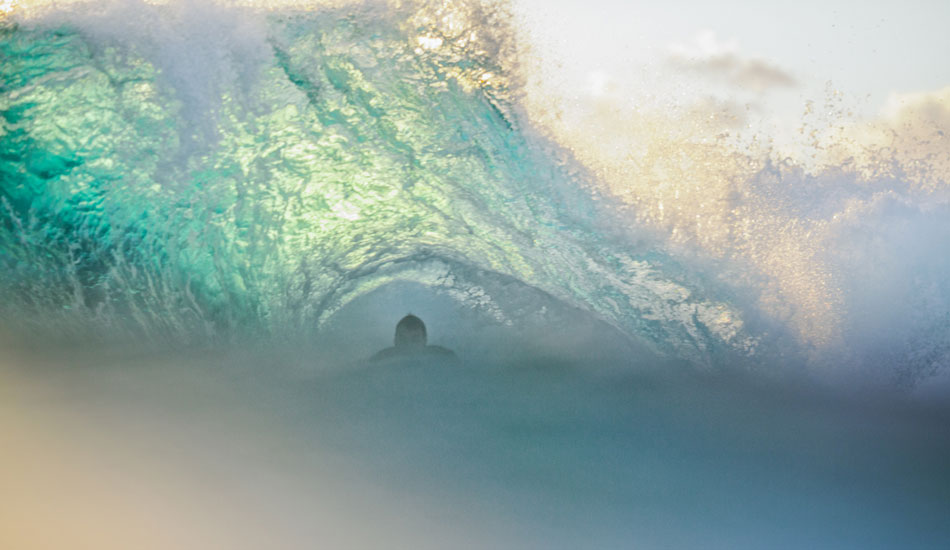 Chop chop, Parko. Photo: <a href=\"https://n-iko.com\">Niko Soikkeli</a>