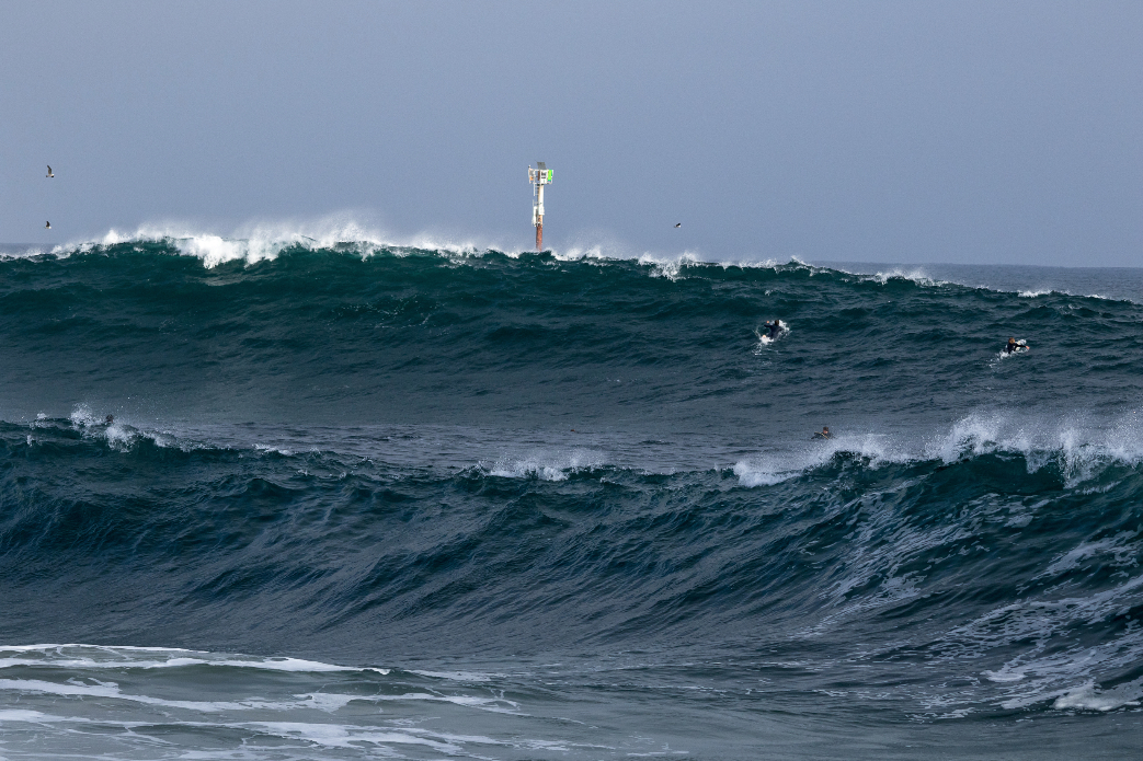 Photo: <a href=\"https://www.lukecamerondawson.com/\">Luke Dawson</a>