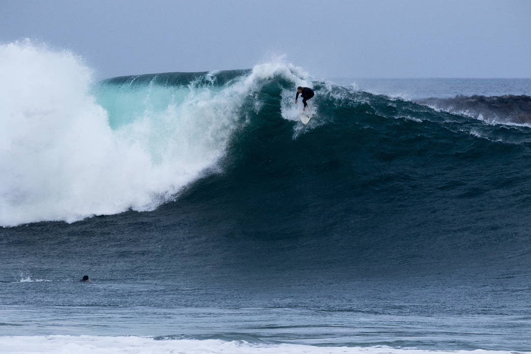 Photo: <a href=\"https://www.lukecamerondawson.com/\">Luke Dawson</a>