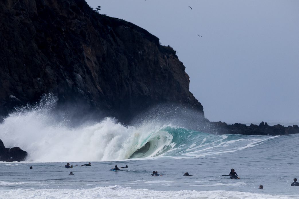 Photo: <a href=\"https://www.lukecamerondawson.com/\">Luke Dawson</a>