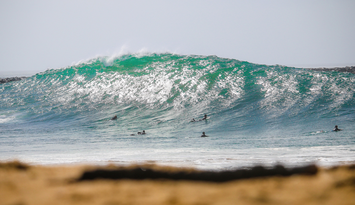 Photo: <a href=\"https://www.instagram.com/admilla_\">Adrian Milla</a>