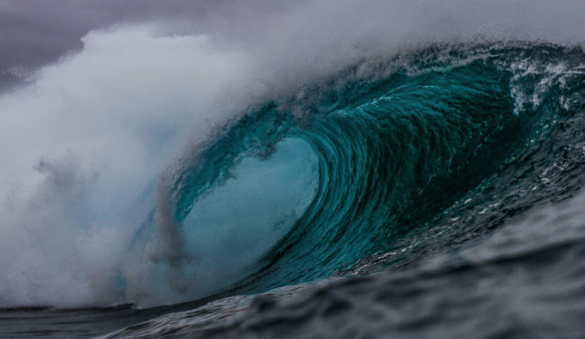  Wedge. Photo: <a href=\"https://www.benslevin.com/\">Ben Slevin</a>