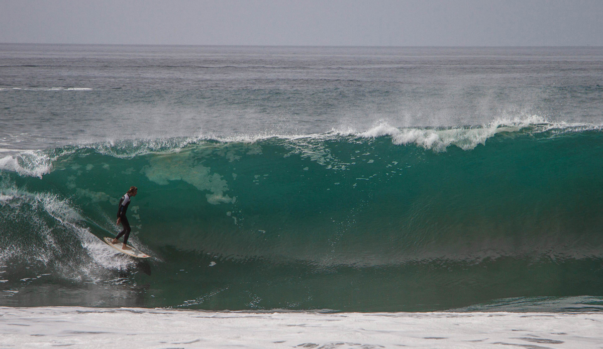  Wedge. Photo: <a href=\"https://www.benslevin.com/\">Ben Slevin</a>