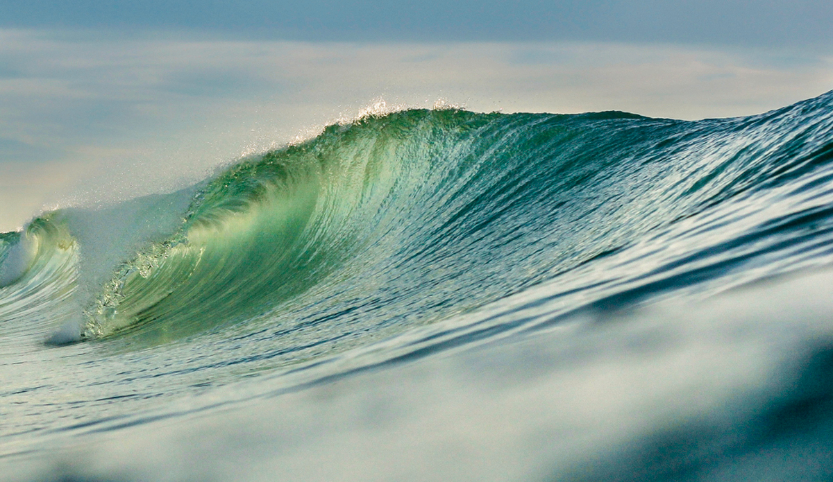 I took this photo the first time I swam with my housing and it is still one of my favorites. Photo: <a href=\"https://instagram.com/kaileyskelton\">@Kailey Skelton</a>