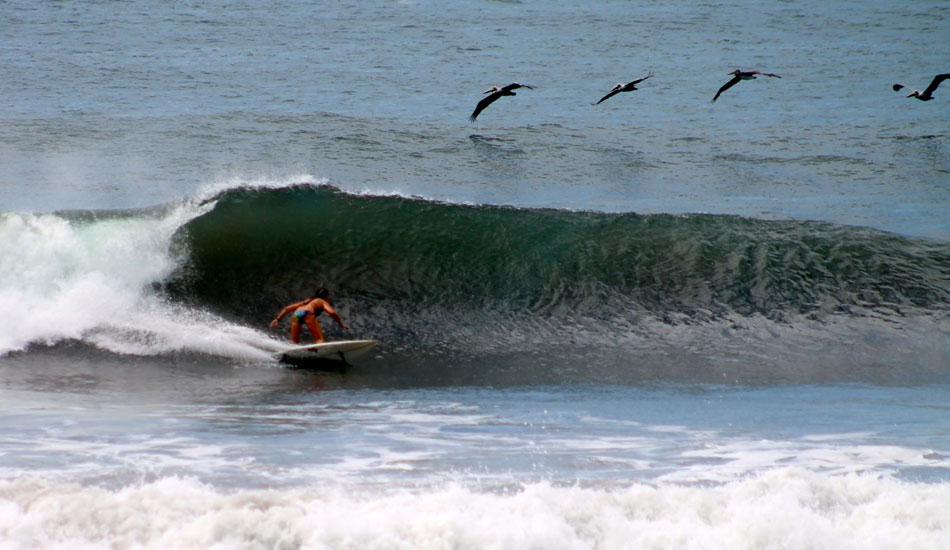 Surfer: Allison Kendro. Photo: Jose Fuentes/<a href=\"https://www.solidsurfadventure.com\">Solid Surf & Adventure</a>