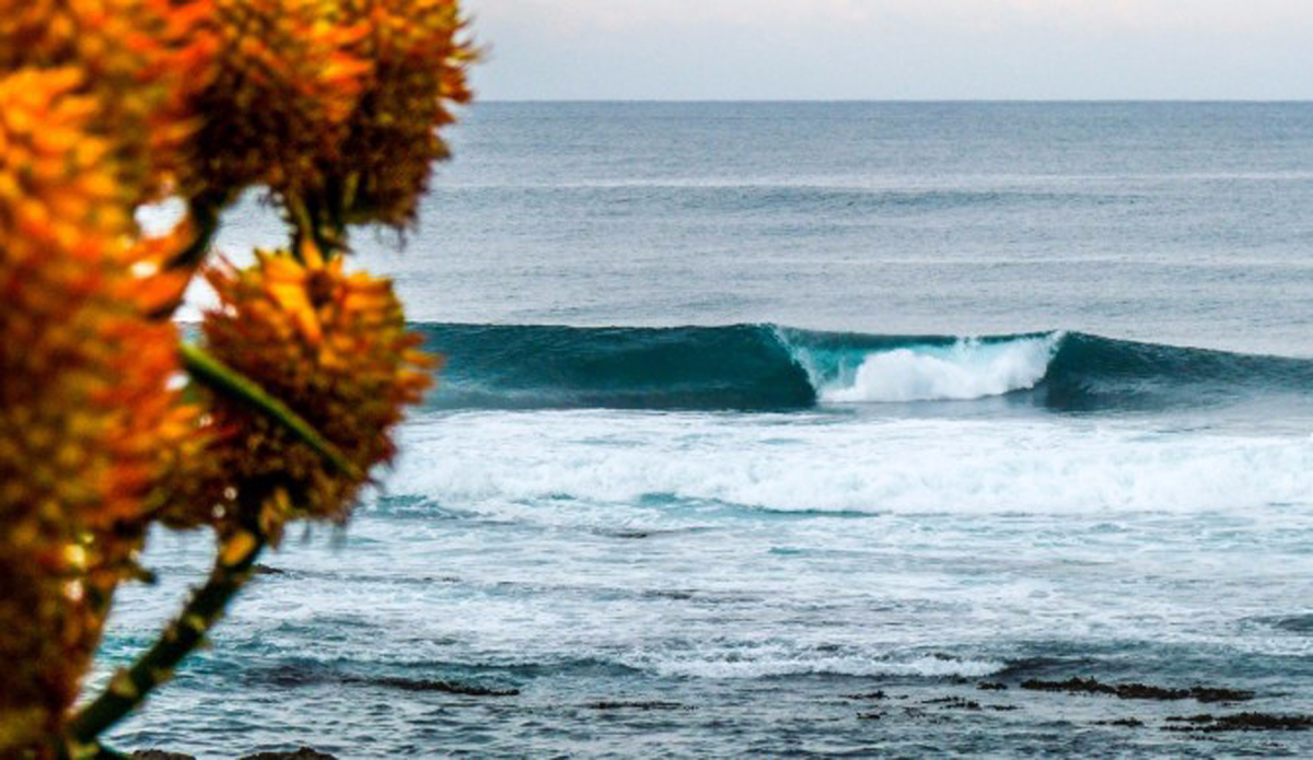 Rewards await for making the drive. Photo: <a href=\"https://www.facebook.com/pages/Pierre-de-Villiers-Water-Photography/810937898938872\">Pierre de Villers</a>