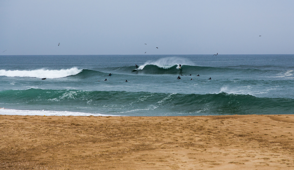 Photo: <a href=\"https://www.jeromechobeaux.fr\">Jerome Chobeaux</a>