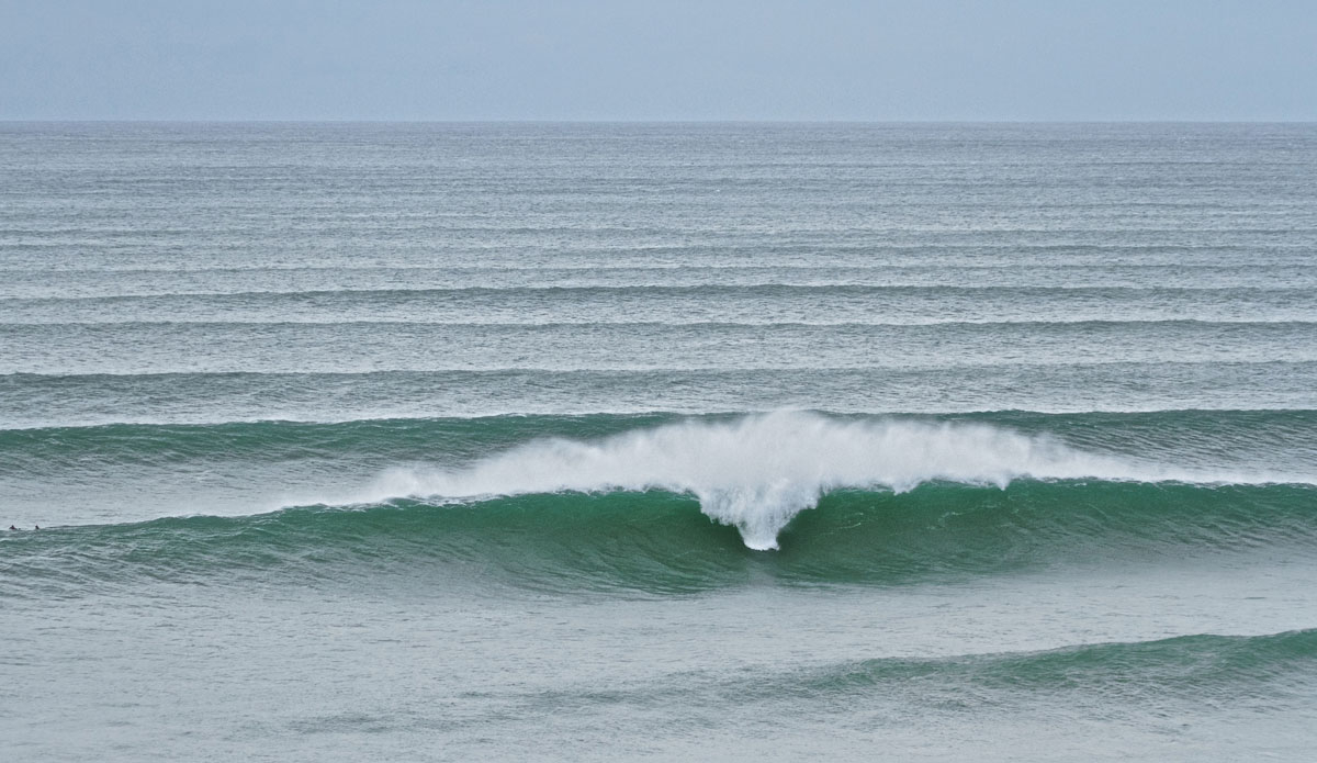 If you miss one, there\'s one behind it. Photo:<a href=\"https://instagram.com/cacaneves\">Camila Neves</a>