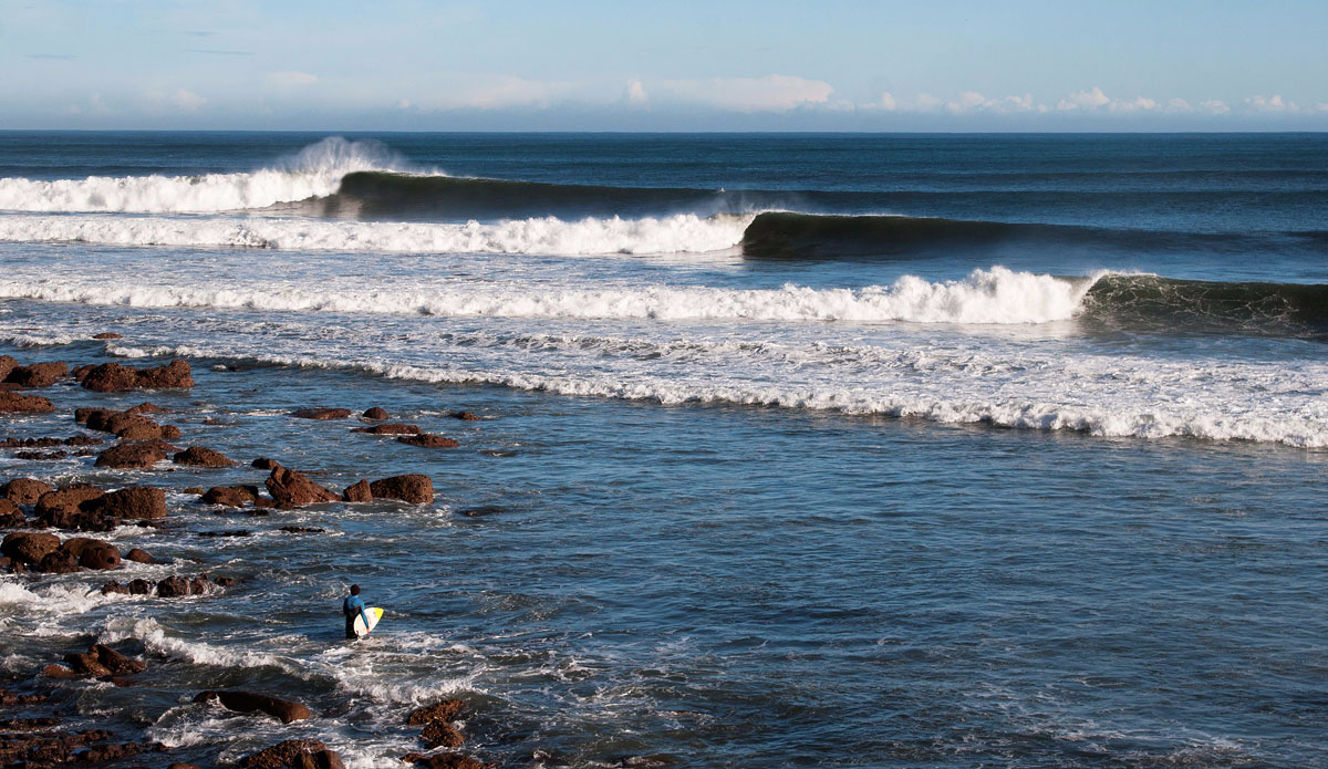 Reef dream. Photo: <a href=\"https://semeyadetoral.com/\"> Manuel Toral</a>