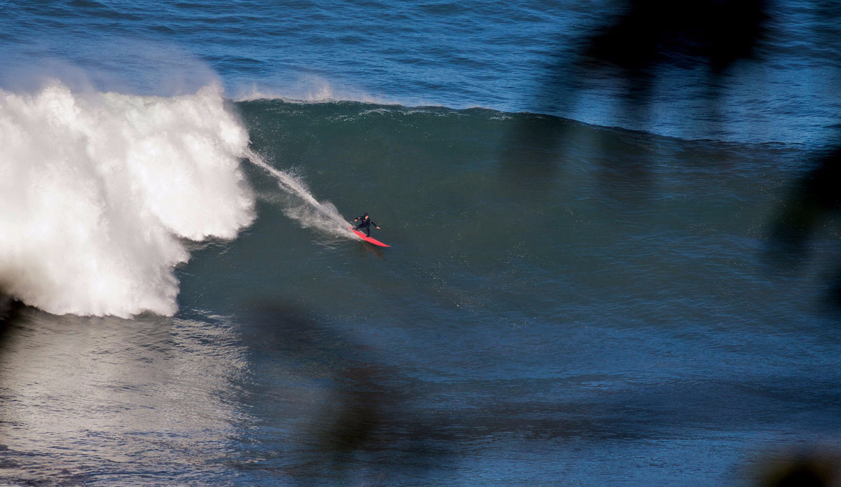 Peeking through the trees at a juicy left on a crisp, windless afternoon. Photo: <a href=\"https://semeyadetoral.com/\"> Manuel Toral</a>