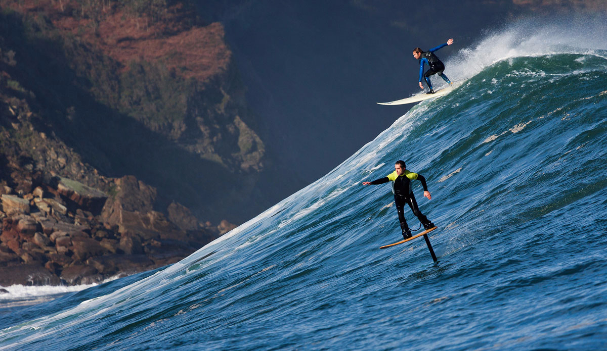 Taking off after a speedy rare local bird. Photo: <a href=\"https://semeyadetoral.com/\"> Manuel Toral</a>