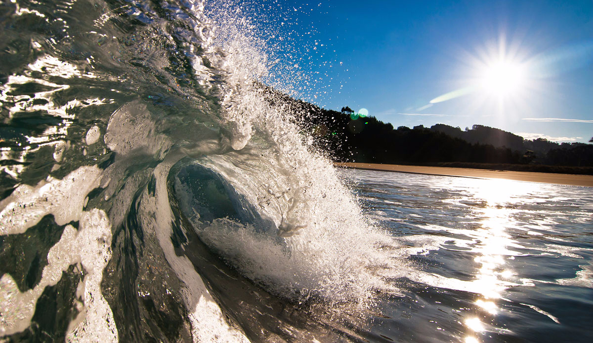 Morning gem. Photo: <a href=\"https://semeyadetoral.com/\"> Manuel Toral</a>