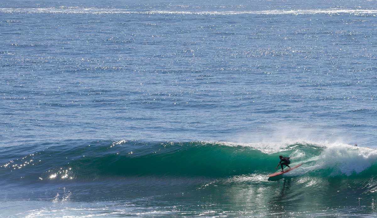Backlit love. Cape Solander. Photo: Spencer Barnes