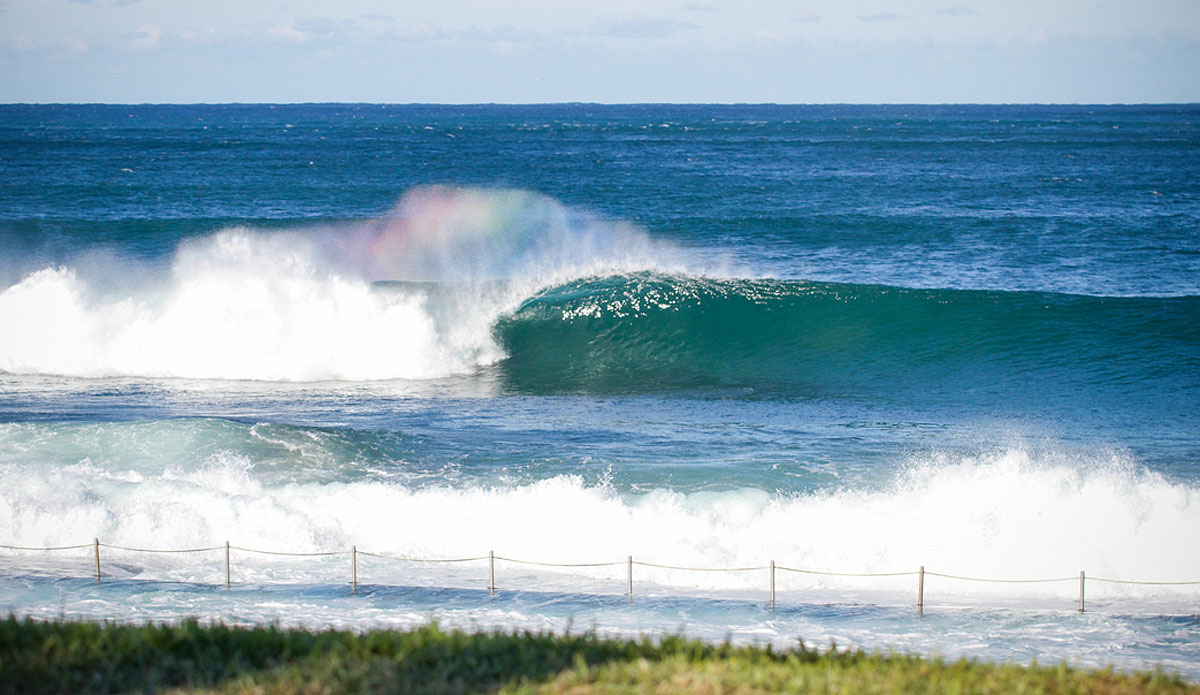 Rainbow stylin\'. Photo: Spencer Barnes
