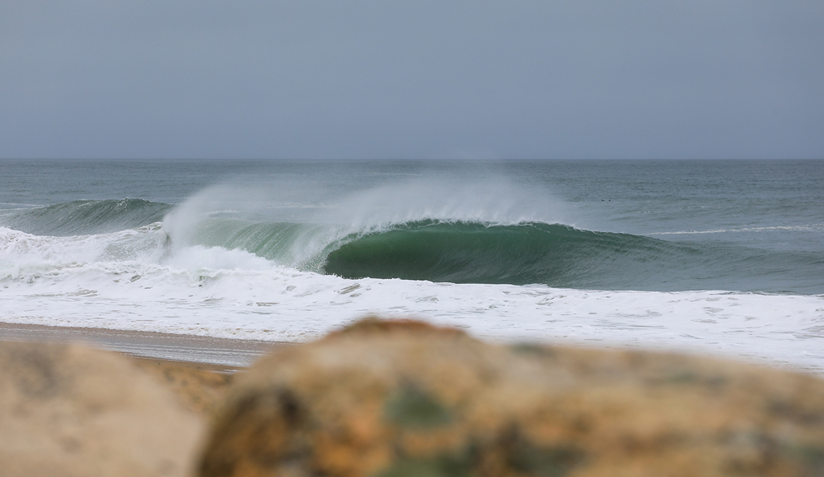 Photo: Clark Leonard