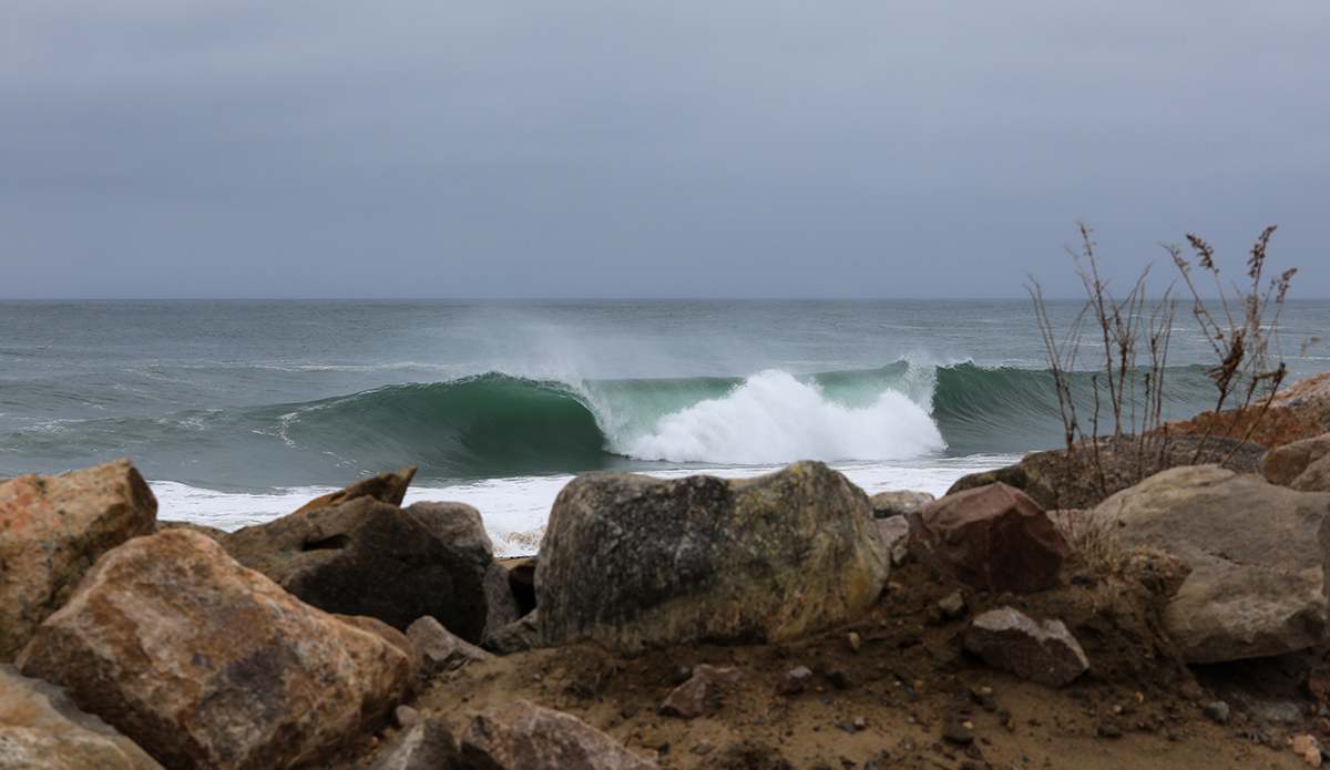 Photo: Clark Leonard